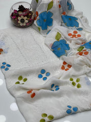 2 Pc Unstitched Shadow Sheesha Chiffon Oil paint