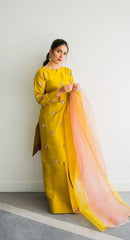 3 Pc Unstitched Organza Handwork Collection